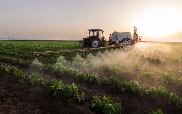 Best Mosquito Control Services  in Opelika, AL