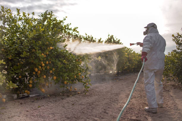 Best Cockroach Control Services  in Opelika, AL