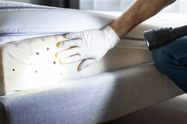 Best Commercial Pest Control Services  in Opelika, AL