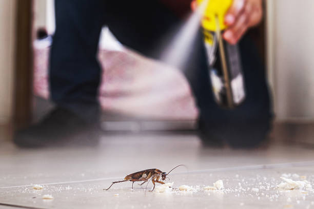 Best Residential Pest Control  in Opelika, AL